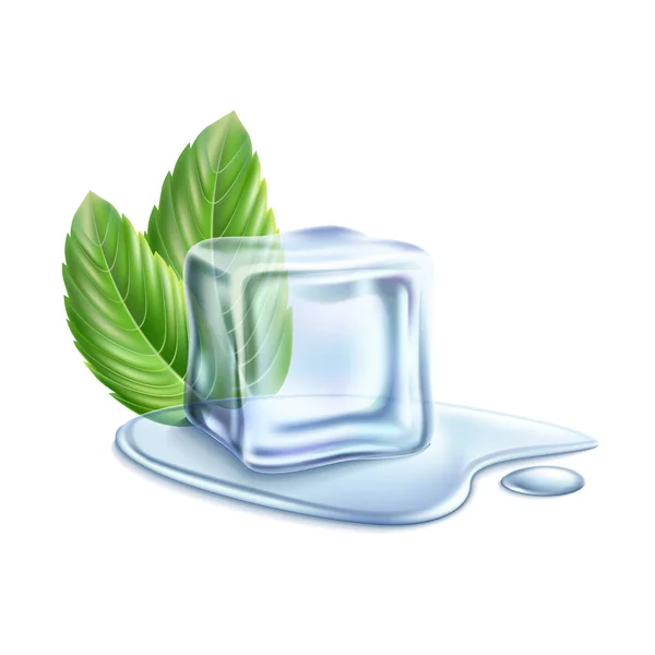 Cubo de hielo realista vectorial con hojas verdes menta — Vector de stock