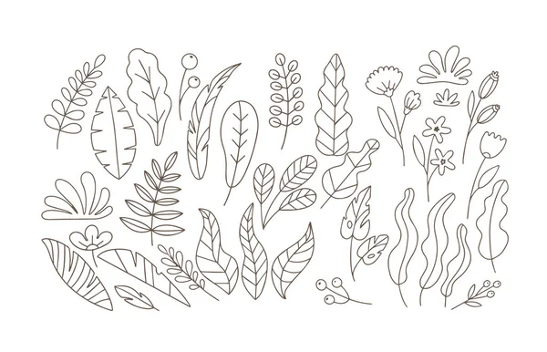 Vektor doodle levelek és virágok lapos készlet — Stock Vector