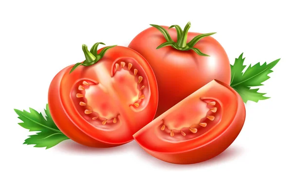 Conjunto de tomate maduro rojo fresco realista vectorial — Vector de stock