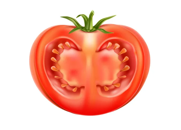 Vektor realistik segar tomat matang merah diiris - Stok Vektor