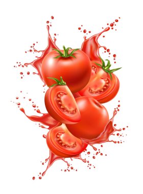 Vektör gerçekçi olgun domates suyu sıçraması
