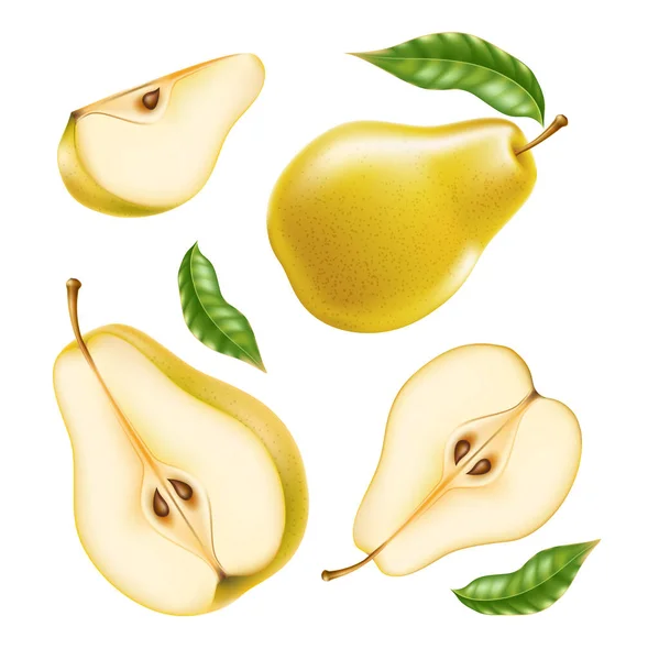 Vector realistic yellow ripe pear healthy food set — Stock Vector