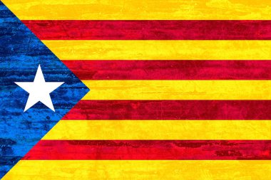 Bağımsızlık Catalonia bayrak ahşap arka plan doku.