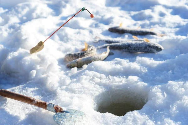 Peixe e vara no gelo perto do buraco enquanto pesca no inverno — Fotografia de Stock