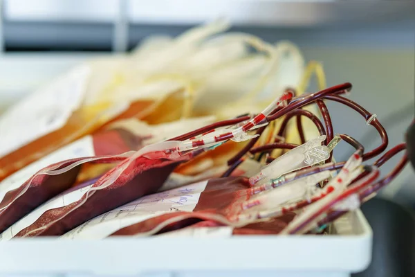 Some bags blood donations in the box is ready for use — Stock Photo, Image