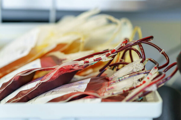 some bags blood donations in the box is ready for use