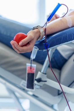 elinde oyuncak kalp olan beyaz kadın kaydetme lives ve tıbbi araştırma için kan bağışladı