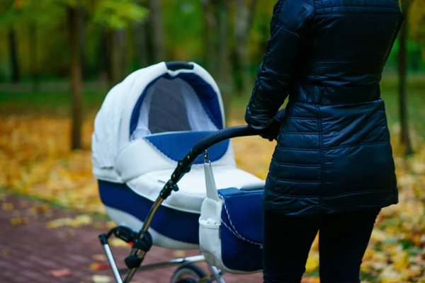 o güzel sarı sonbahar Park'ta yürüyüş yapraklar ederken genç Kafkas kadın beyaz bebek arabası itiyor