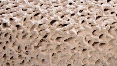 gözenekli çimento beyaz doku