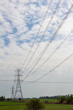 Pirinç alan üzerinde elektrik direği