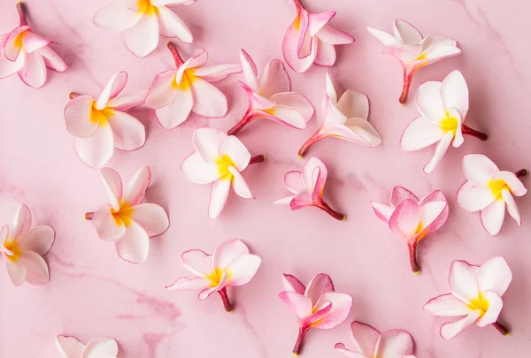 Живці квітів рожеві фону — стокове фото