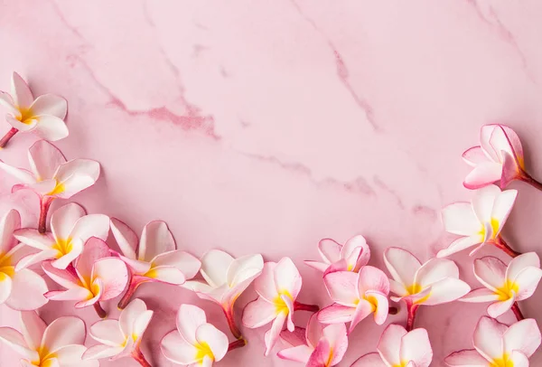 pembe plumeria arka plan ve uzay