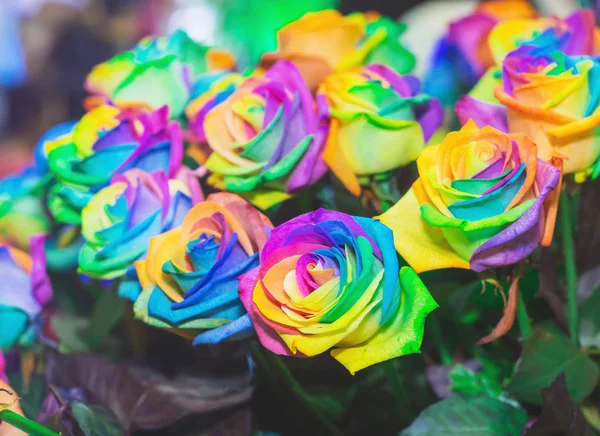 Красива група веселкової троянди — стокове фото
