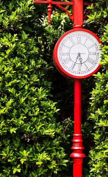 Reloj rojo polo estilo vintage con fondo de arbusto verde —  Fotos de Stock