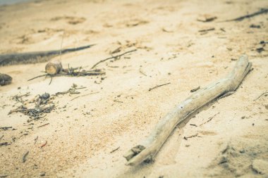 Beach eski şube renk filtresi sesi kapat