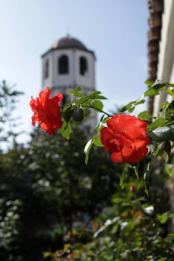 Zıtlıklar /Plovdiv, Bulgaristan
