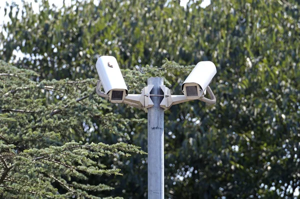 Kamera do nadzoru bezpieczeństwa w pobliżu zielony las . — Zdjęcie stockowe