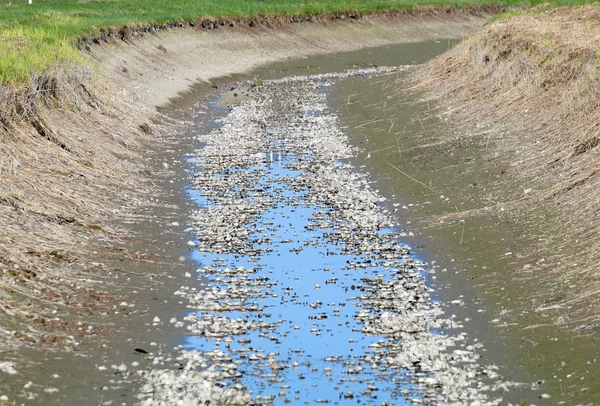 Canal de riego vacío sin agua  . — Foto de Stock