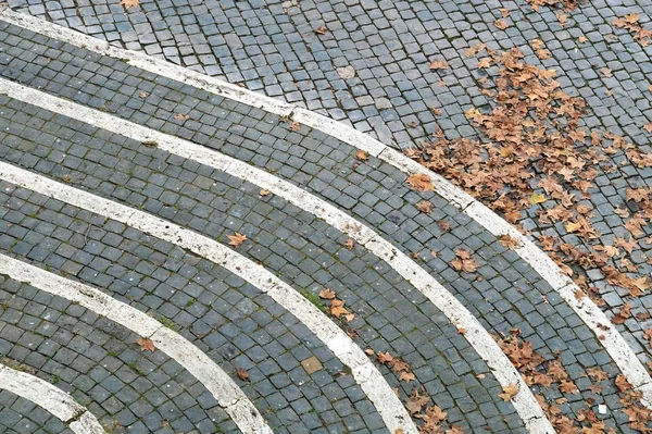 Background of the paving stones  the road with yellow autumn leaves. shallow depth  field — Stockfoto