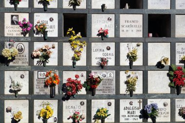 Mezar taşları bir mezarlıkta mezar taşlarını önünde Pembe Lale ile uyumlu.