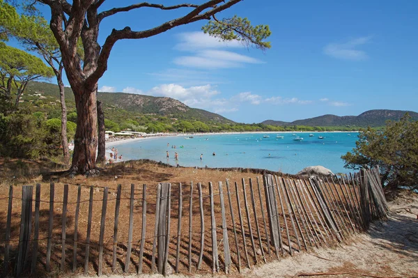 Bela ilha e exótica praia tropical no mar do caribe  . — Fotografia de Stock