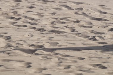 kum arka plan tropikal plaj