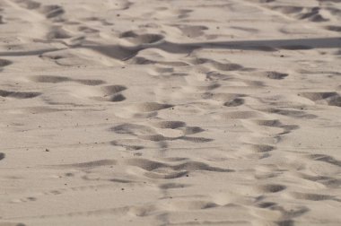 kum arka plan tropikal plaj