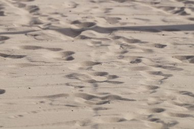 kum arka plan tropikal plaj