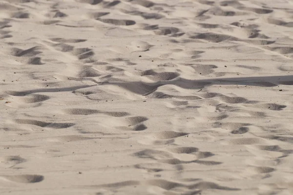 열 대 해변에서 추상 모래 배경 — 스톡 사진