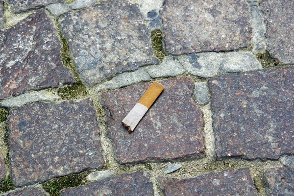 Cigarrillos en el suelo .close-up, dejar de fumar concepto — Foto de Stock