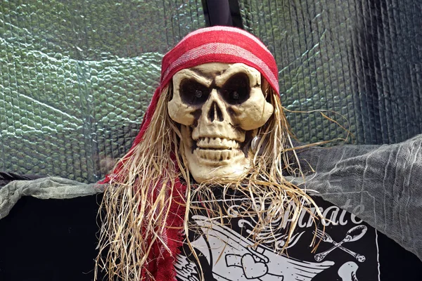 Pirate skull looking .  theme grunge background. of decorative pirates