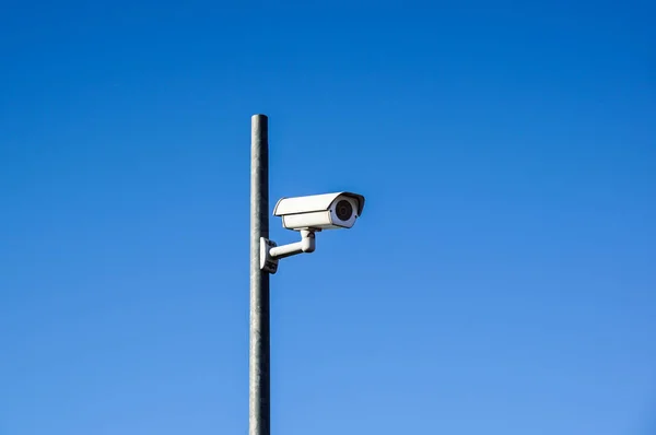 Lateralmente macchina fotografica su un posto in cielo bue — Foto Stock