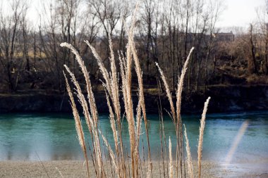 Sakin akışı derin bir geçit aracılığıyla yemyeşil nehir keser.