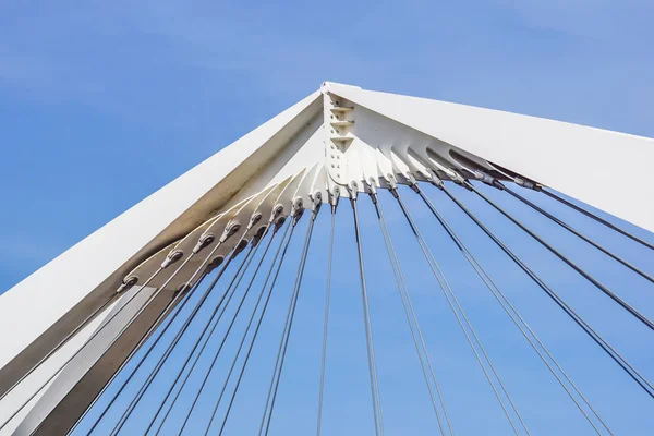 Cables y torre del puente colgante  . —  Fotos de Stock