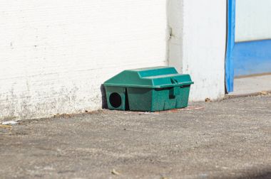 Poison rat trap box on floor near wall clipart