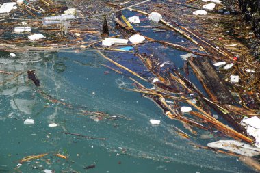 Plaj kirliliği. Plastik şişeler ve deniz sahilindeki diğer çöpler.