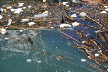 Plaj kirliliği. Plastik şişeler ve deniz sahilindeki diğer çöpler.