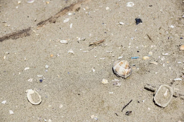 Забруднений пляж. Відкинуті пластикові пляшки і відходи на пляжі  . — стокове фото