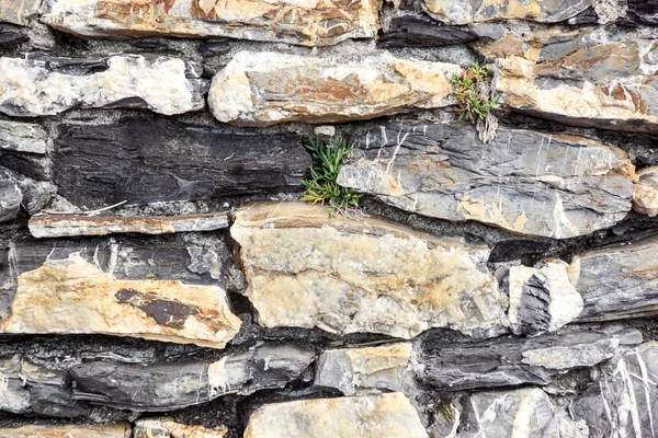 Stenen textuur en achtergrond. Rots textuur close-up — Stockfoto