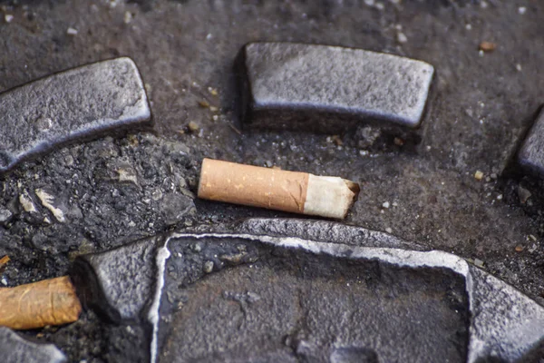 Colillas de cigarrillo en la maceta del árbol, residuos de cigarrillos, esto es poner la basura en el lugar equivocado . — Foto de Stock