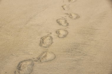 Gün batımında Kumdaki. Güzel tropikal kumsalı. Ayak sesleri sahilde.
