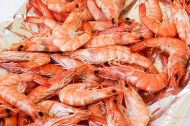 Bir parti ya da akşam yemeği için gurme deniz ürünleri, deniz yemekleri sunan bir restoran olarak görünümü taze lezzetli buzdolabında kabuklu bir grup kadar yakın ile kokteyl arka plan karides