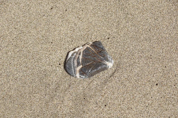 Pietre su una spiaggia — Foto Stock