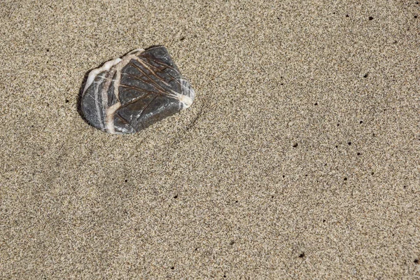 एक समुद्र तट पर पत्थर — स्टॉक फ़ोटो, इमेज
