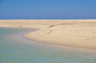Güzel beyaz kum plaj ve Kanarya Adası, Fuerteventura deniz.