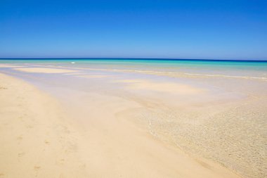 Güzel beyaz kum plaj ve Kanarya Adası, Fuerteventura deniz.