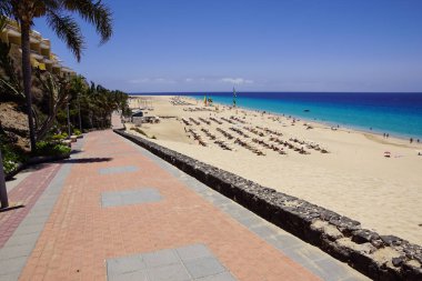 Tropikal bitki ve çiçeklerle Morro Jable tatil köyü, Fuerteventura, Kanarya Adaları, İspanya bir plaj boyunca mesire