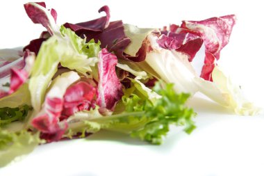 Beyaz arka plan üzerinde seçici odak izole radicchio ve yeşil marul salatası ve ve kontrollü bulanıklık .