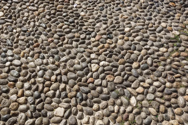 Floors Which Pebbles Spread Close — Stock Photo, Image