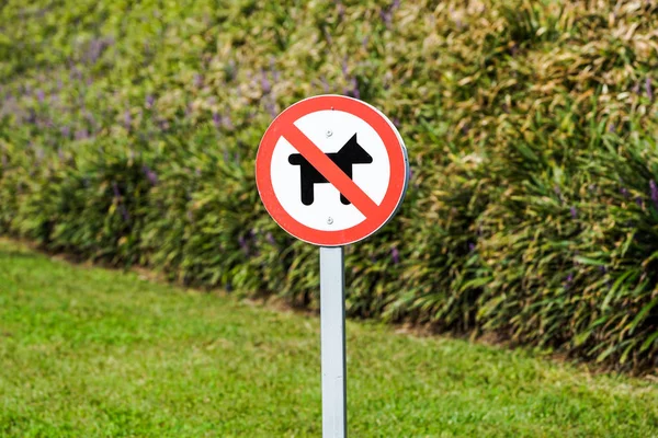 Nessun Cane Permesso Segno Nel Parco — Foto Stock